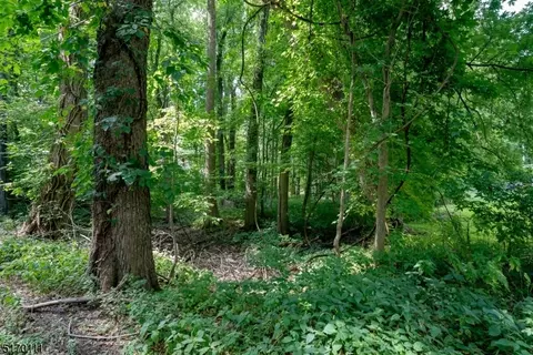 00 Dorsa Ave, Wayne Twp, NJ 07470