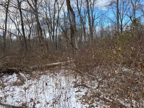 11 Hilltop Rd, West Amwell Twp, NJ 08551