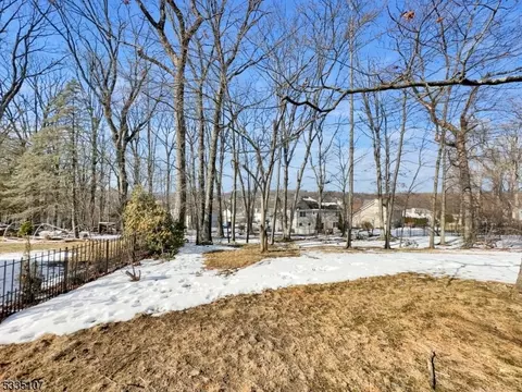 15 Michael Ct, Dover, NJ 07801 photo 20