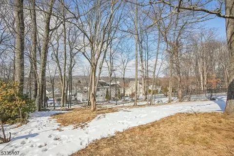 15 Michael Ct, Dover, NJ 07801 photo 18