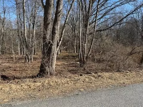 00 Decker Rd, Wantage Twp, NJ 07461