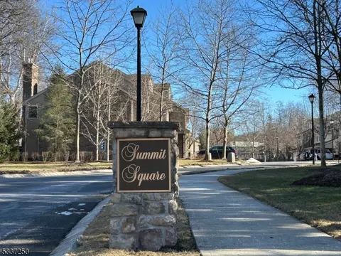17 Eggers Ct, Summit, NJ 07901 photo 23