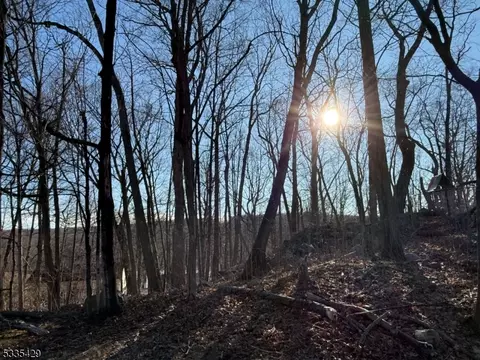 10 Moccasin Trl, Jefferson Twp, NJ 07849