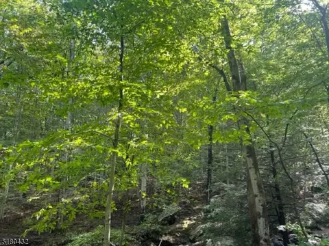 0 Us 46, Mine Hill Twp, NJ 07803