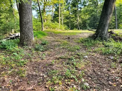 227 Shiloh Rd, Hope Twp, NJ 07825