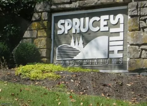 806 Spruce Hills Dr, Glen Gardner, NJ 08826