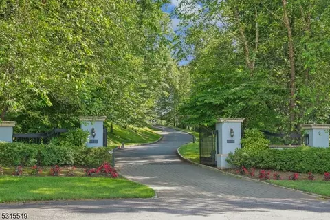 3 Spring Meadow Ln, Mendham, NJ 07945 photo 2
