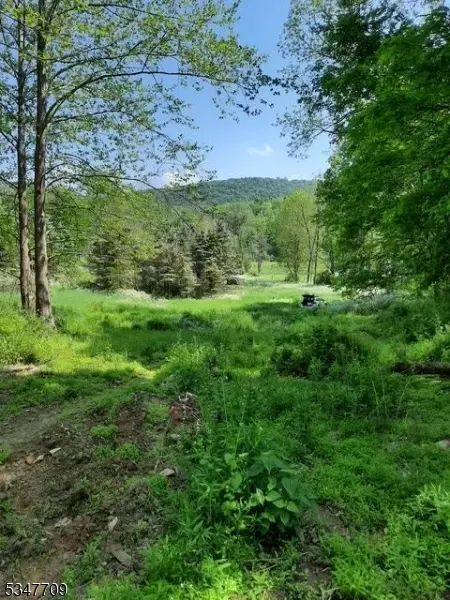 91 Jenny Jump Rd, Hope Twp, NJ 07844