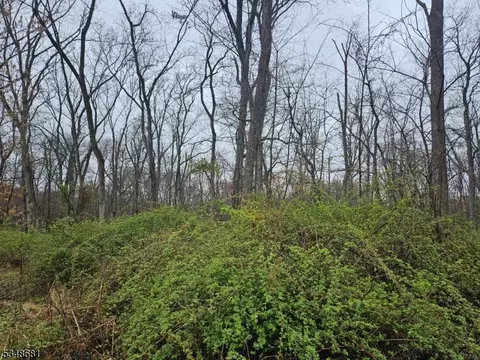 9 Hilltop Rd, West Amwell Twp, NJ 08551