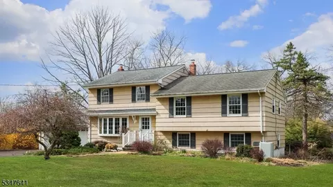 21 Deer Run Dr, Bridgewater, NJ 08807