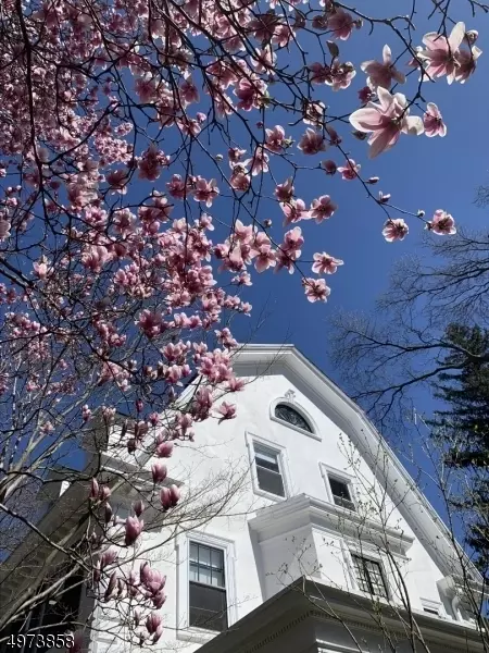 500 Berkeley Ave, City Of Orange, NJ 07050 photo 3