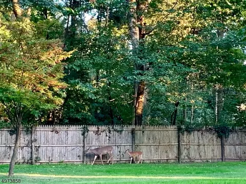 500 Berkeley Ave, City Of Orange, NJ 07050 photo 23