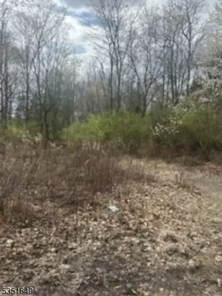 0 Warren Ave, Long Hill Twp, NJ 07980
