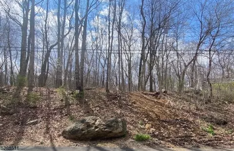 59 W Shawnee Trl, Jefferson Twp, NJ 07885