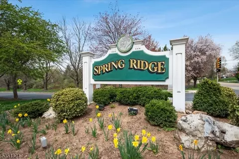 284 Potomac Dr, Basking Ridge, NJ 07920 photo 29