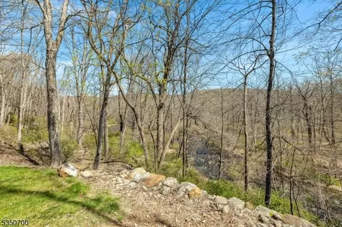 66 Saxton Dr, Hackettstown, NJ 07840 photo 38