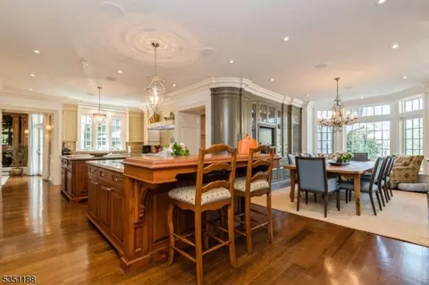 4 County Line Rd, Mendham, NJ 07945 photo 20