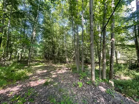 29 Elm Ave, Warren Twp, NJ 07059