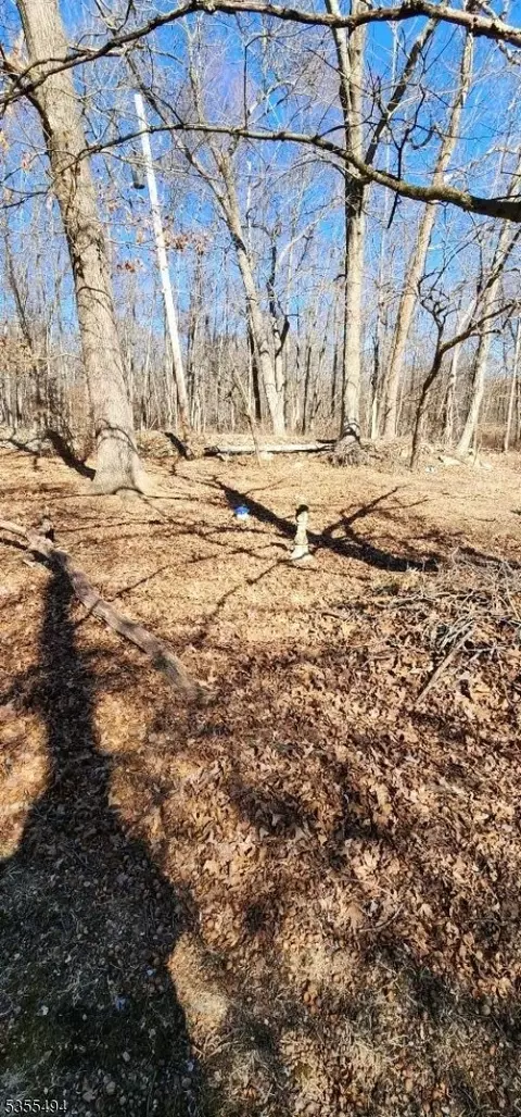 0 Ns Sanatorium Rd, Glen Gardner Boro, NJ 08826
