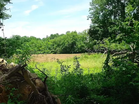 0 Mellicks Woods Rd, Pohatcong Twp, NJ 08804