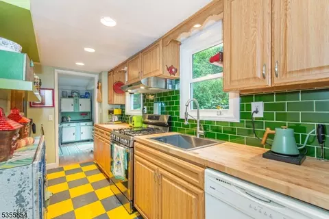 56 E Hedding Pl, Mount Tabor, NJ 07878 photo 13