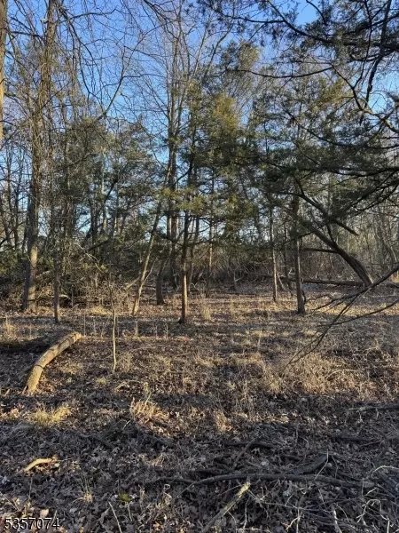 163 Trent Pl, Montgomery Twp, NJ 08502
