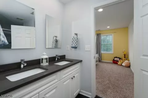 3 Firestone Ct, Skillman, NJ 08558 photo 28