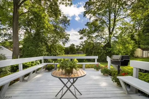 22 Bailey Rd, Millburn, NJ 07041 photo 29