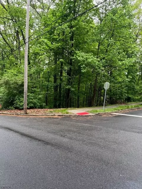 102 Ridge Rd, Allamuchy Twp, NJ 07840 photo 2