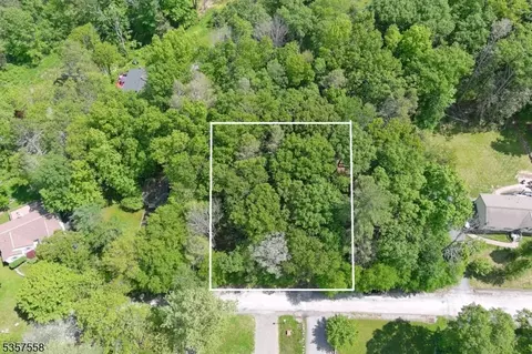 229 Old Chimney Ridge Rd, Montague Twp, NJ 07827