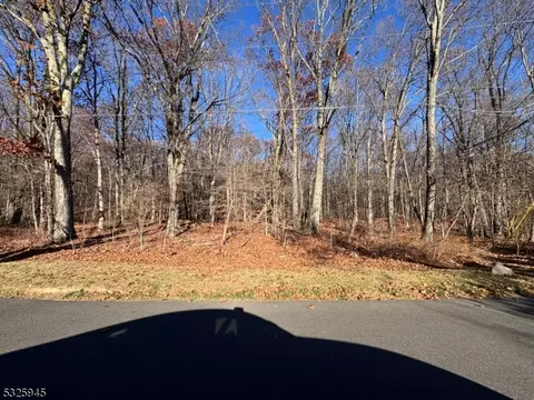 14 Starlite Hill Rd, Knowlton Twp, NJ 07832