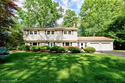 17 Druid Hill Dr, Parsippany, NJ 07054