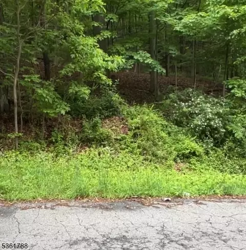 34 Ryan Rd, Independence Twp, NJ 07840