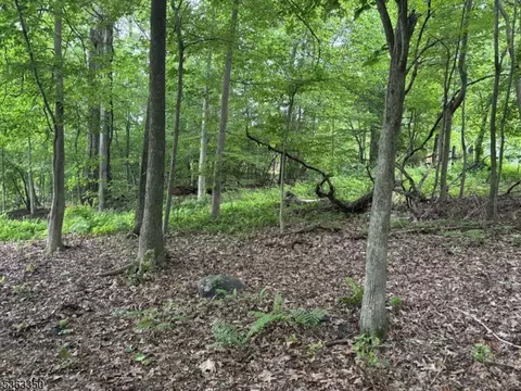 0 Oakwood Ave, West Milford Twp, NJ 07480