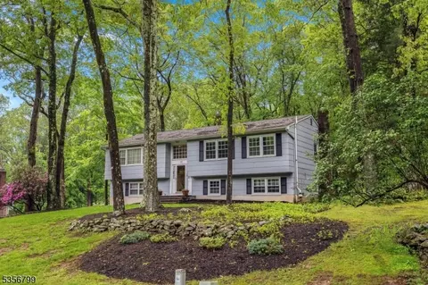 38 Nestlingwood Dr, Long Valley, NJ 07853