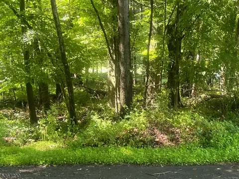 114 North Ct, Montague Twp, NJ 07827