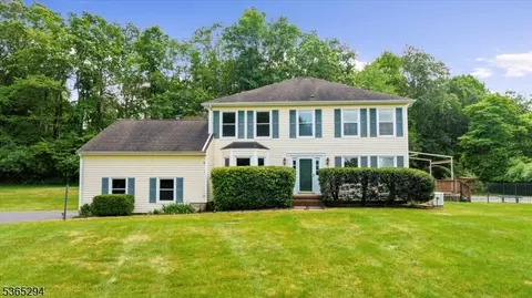 10 Duke Ct, Pittstown, NJ 08867