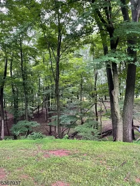 9 Chippewa Trl, Somerville, NJ 08876