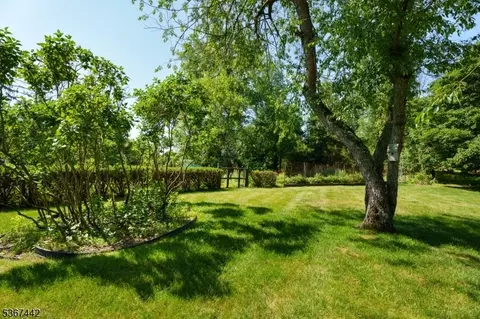 12 Brookside Dr, Skillman, NJ 08558 photo 22