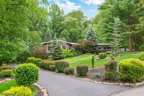 7 Deer Ct, Chester Twp, NJ 07930