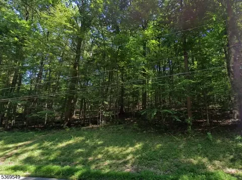 342 Buckhorn Dr, White Twp, NJ 07823
