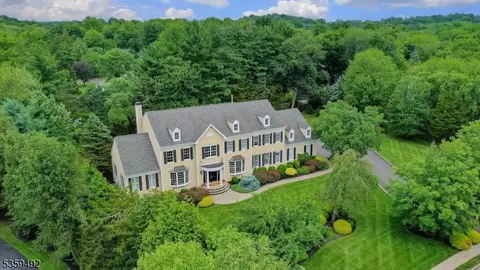 20 Squire Ct, Basking Ridge, NJ 07920