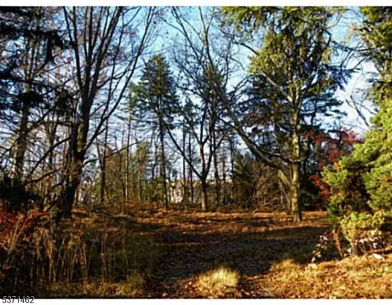  3241 Route 27, Franklin Twp, NJ 08823 photo 6