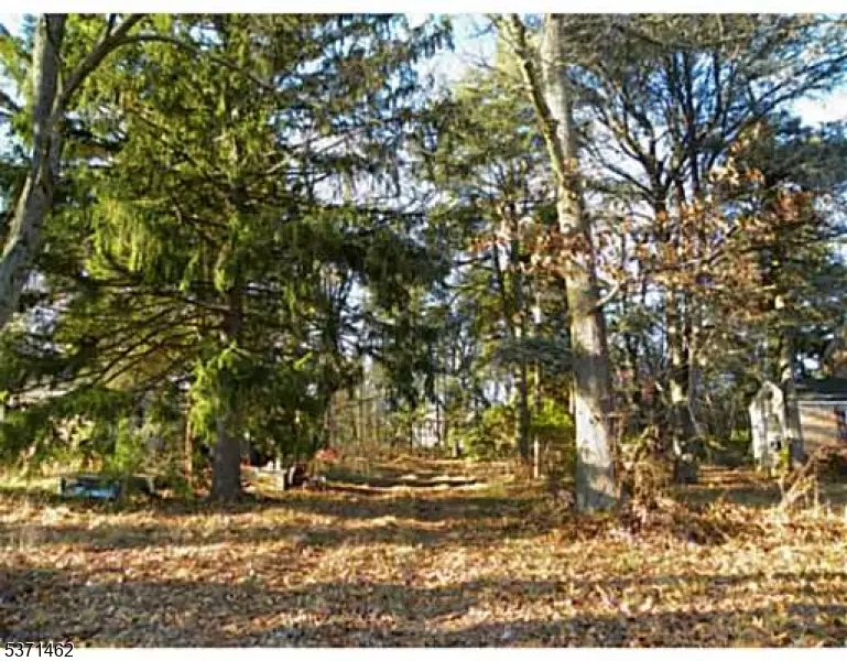  3241 Route 27, Franklin Twp, NJ 08823 photo 5