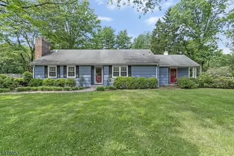 20 Ellis Dr, Bernards Twp, NJ 07920