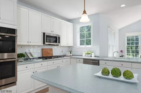 9 Deer Path, Skillman, NJ 08558 photo 8