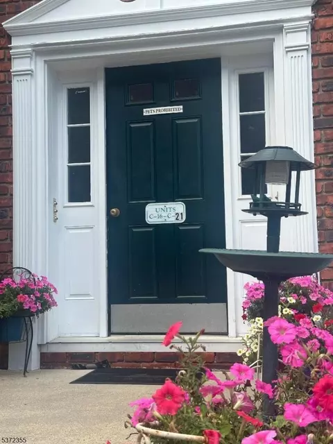 199 C-19 #19, Parsippany-troy Hills Twp, NJ 07034