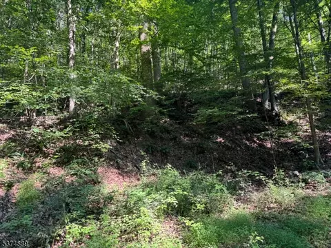 130 Millbrook Rd, Franklin Twp, NJ 07882