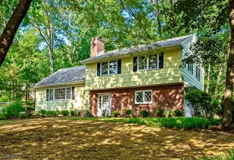 47 Stella Dr, Bridgewater, NJ 08807