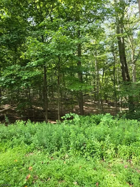 54 Northwood Rd, Hopatcong Boro, NJ 07849